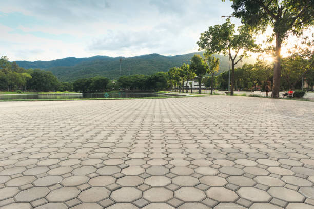 Best Driveway Pavers Near Me  in Cerro Gordo, IL